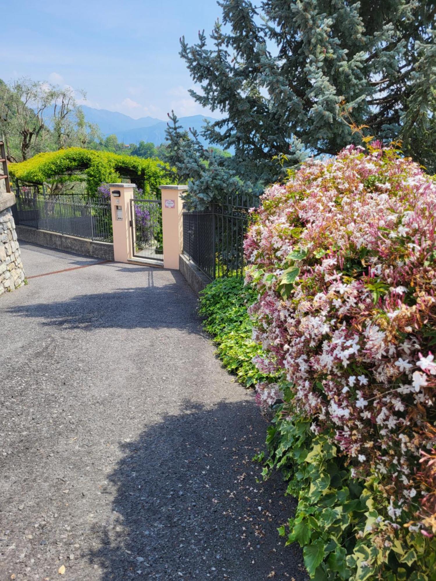 Casa Intignano - Appartamento Con Terrazzo Vista Lago Tremezzo Kültér fotó